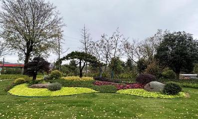 三季有花 四季常绿--新县城管局全力推进"花园城市建设"