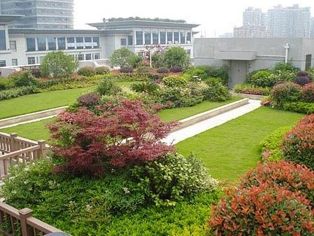 杭州市拱墅区政府(含法检两院)大楼屋顶绿化工程 - 景观工程|园林工程