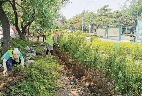 焦作市将建设游园15处,详细地址公布,已经开始施工了