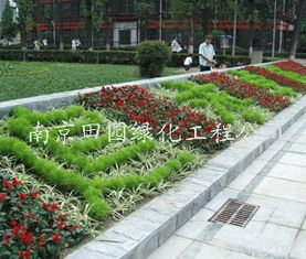 绿化工程合作供应商 南京田园绿化工程公司