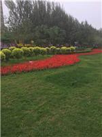 黑龙江绿化工程相关地区