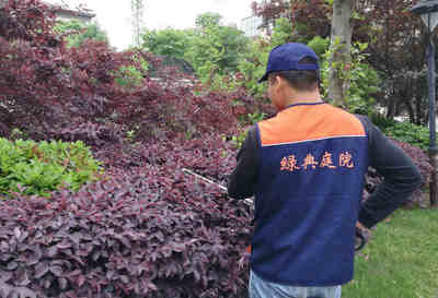 湖南庭院绿化养护专业性哪家强,认准绿典庭院湖南庭院景观养护