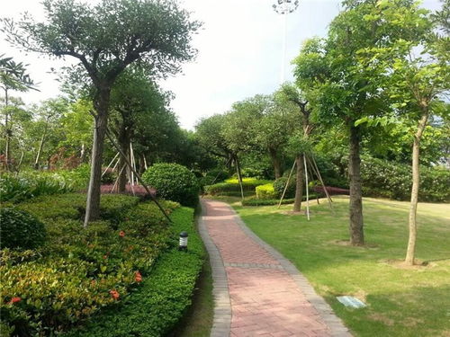园林养护手册 中艺源 在线咨询 园林养护高清图片 高清大图