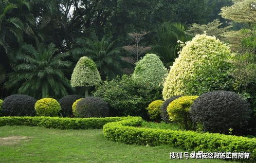 园林绿化工程造价组成及计算依据