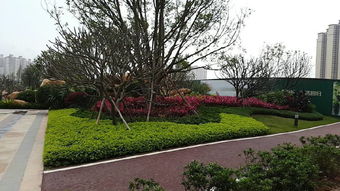 园林绿化工程案例 惠州罗浮山寺庙二期配套景观工程