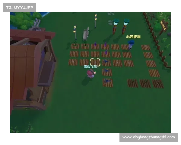 摩尔庄园申请邻居时需要注意的五个关键事项及其解决方法